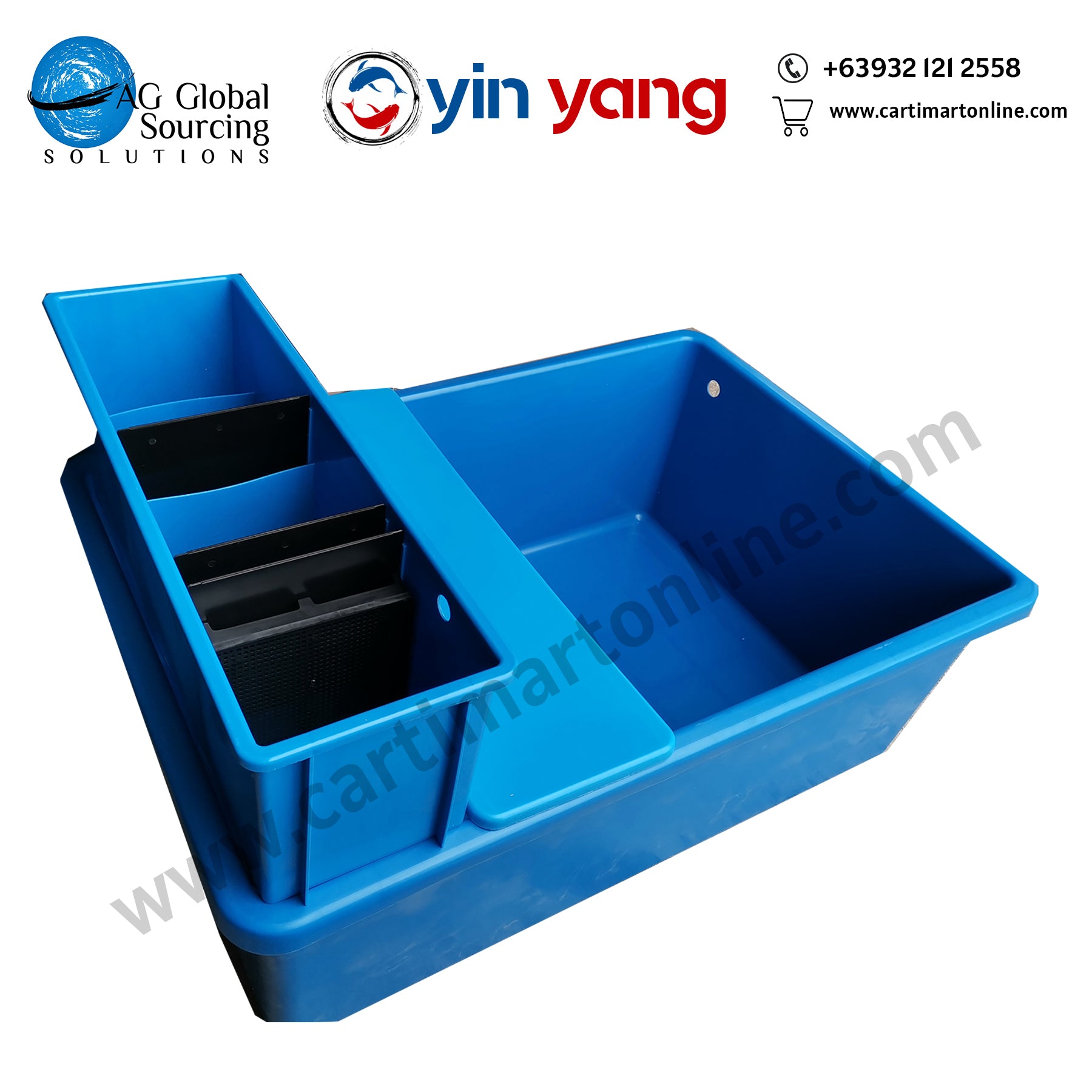 Blue Fish Tub with overhead filter