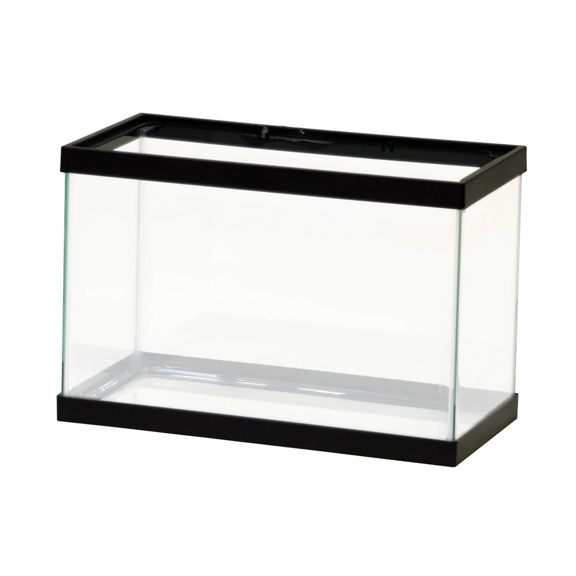 aquarium